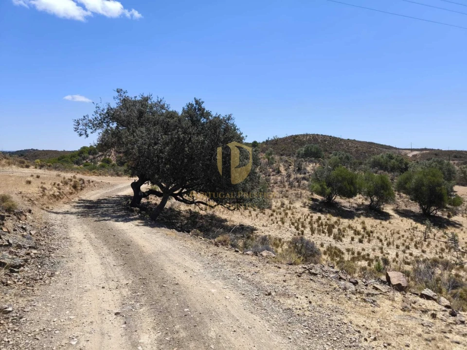 Negócio para Venda em Castro Marim Foto 17