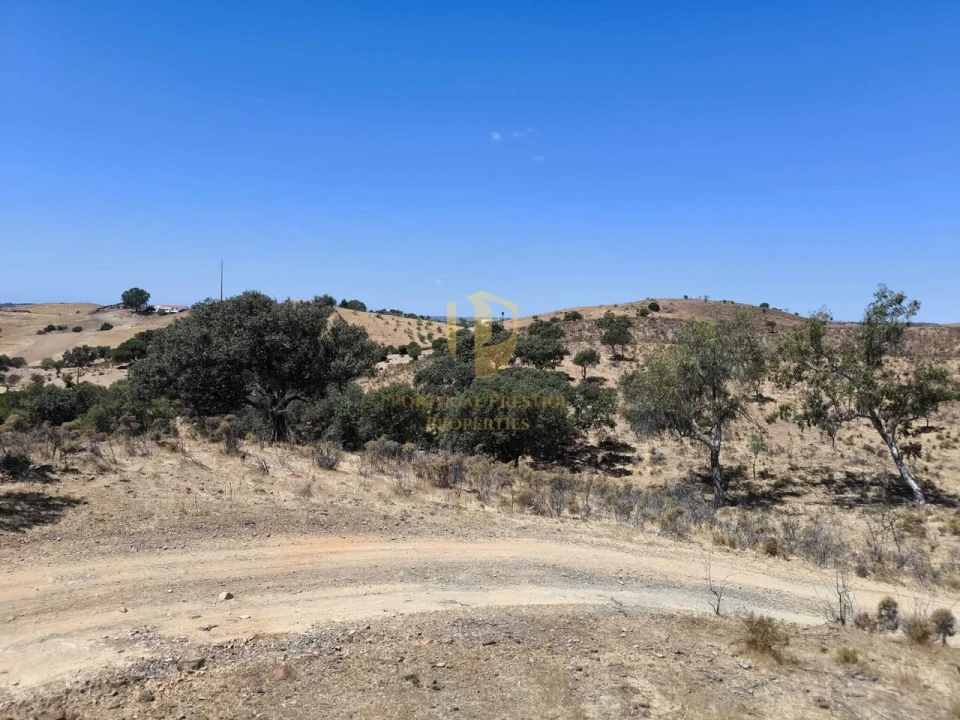 Negócio para Venda em Castro Marim Foto 19