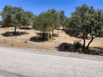 Negócio para Venda em Castro Marim