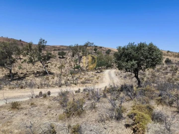 Negócio para Venda em Castro Marim