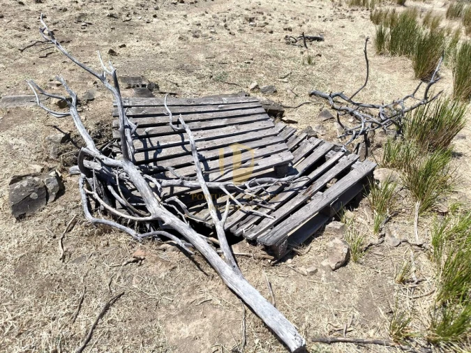 Negócio para Venda em Castro Marim Foto 13