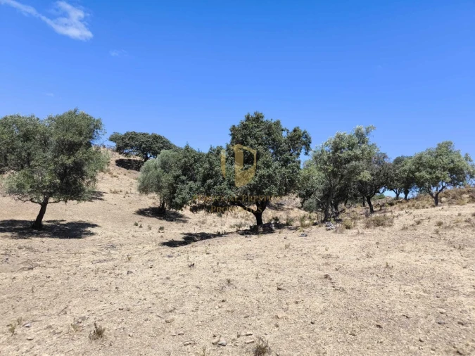 Negócio para Venda em Castro Marim Foto 15