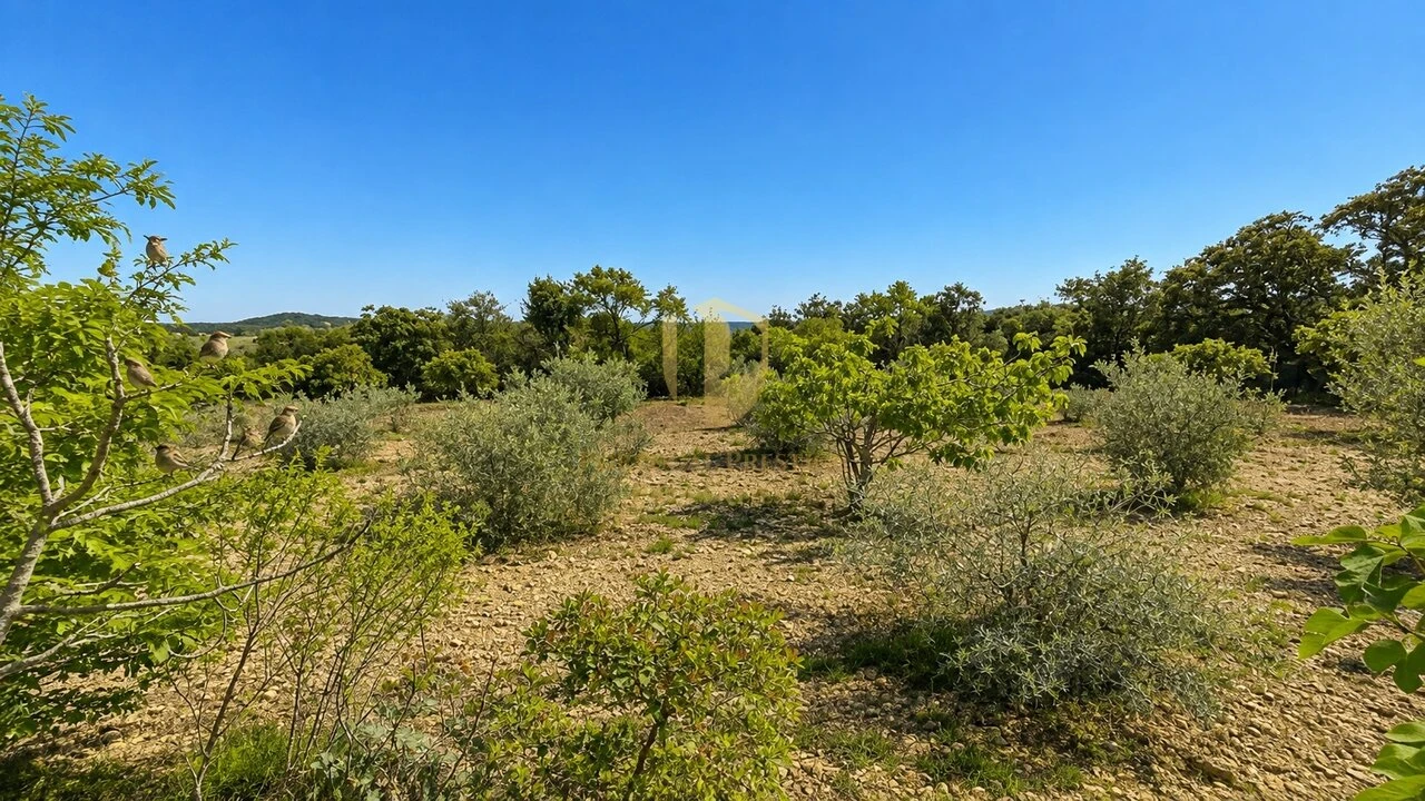Quinta T5 para Venda em São Brás de Alportel Foto 25