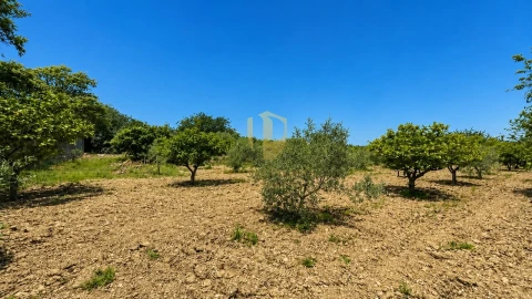 Quinta T5 para Venda em São Brás de Alportel