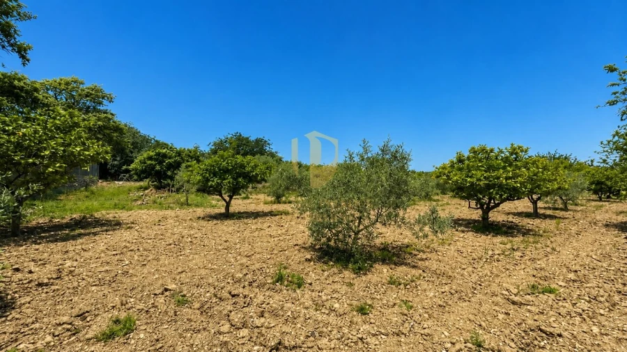 Quinta T5 para Venda em São Brás de Alportel Foto 24