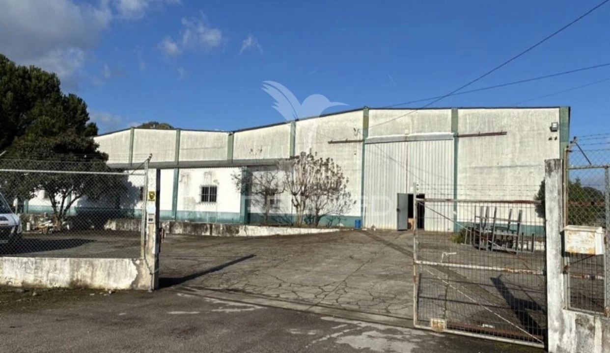 Armazém para Venda em Bugalhos Foto 14