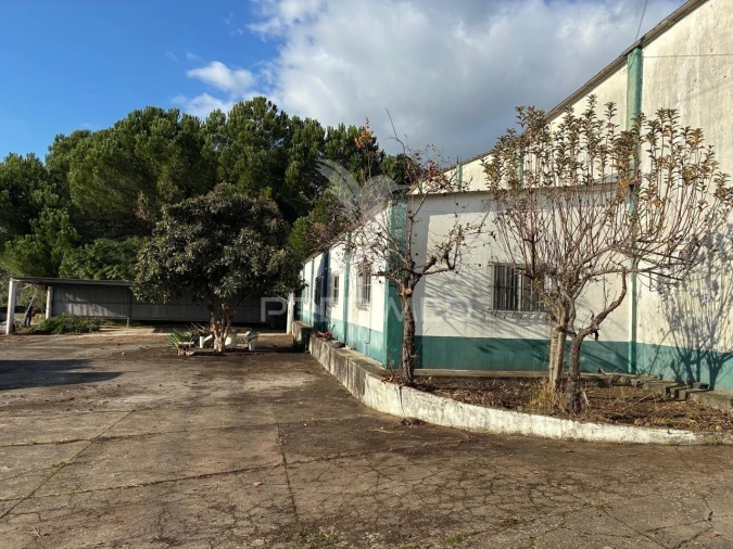 Armazém para Venda em Bugalhos Foto 13
