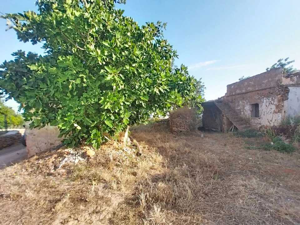 Prédio para Venda em Boliqueime Foto 5