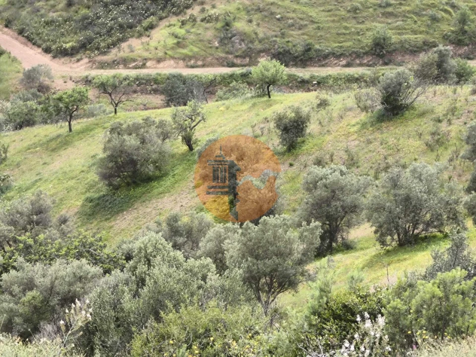 Terreno para Venda em Castro Marim Foto 6