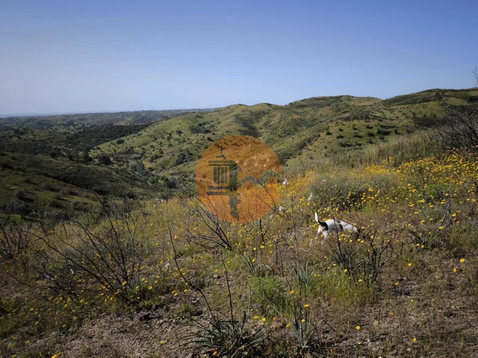 Terreno para Venda em Castro Marim Foto 3