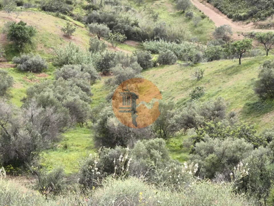 Terreno para Venda em Castro Marim Foto 13