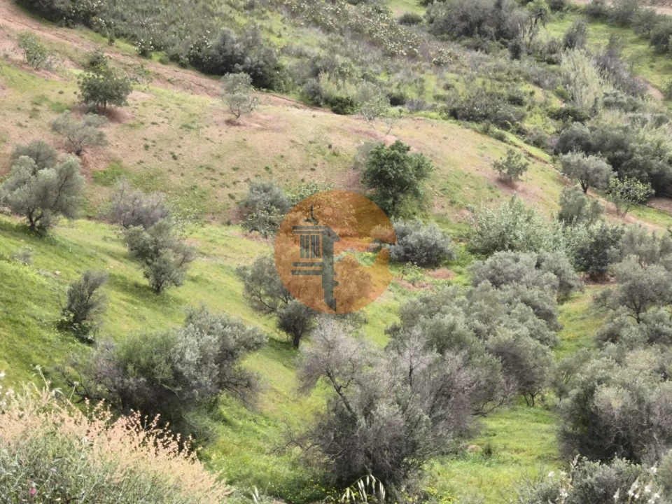 Terreno para Venda em Castro Marim Foto 19