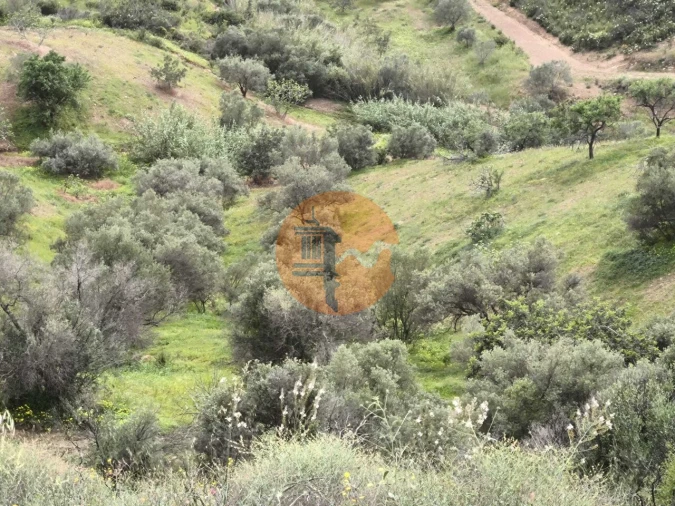 Terreno para Venda em Castro Marim Foto 13