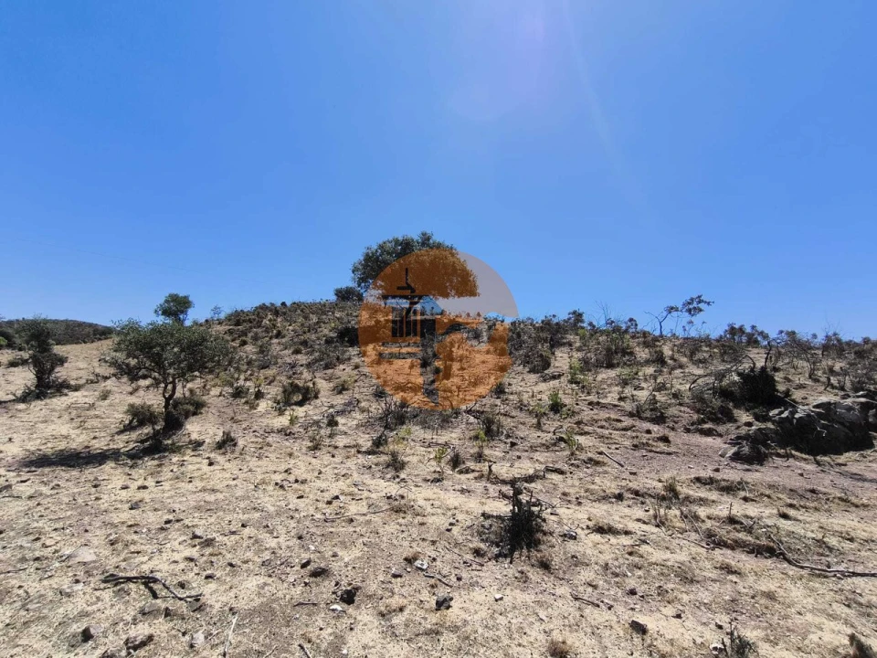 Negócio para Venda em Castro Marim Foto 6