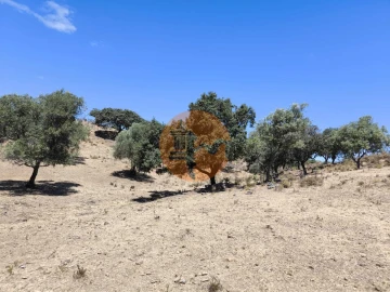 Negócio para Venda em Castro Marim