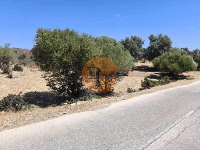 Negócio para Venda em Castro Marim Foto 3