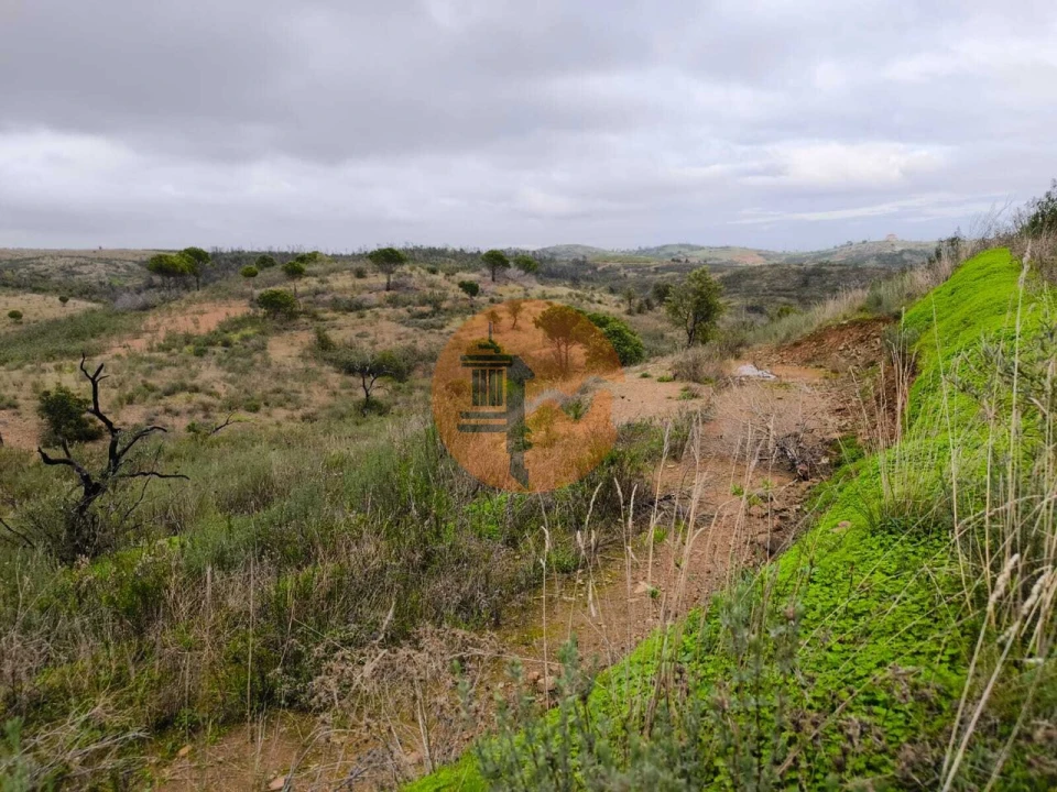 Negócio para Venda em Conceição e Cabanas de Tavira Foto 30