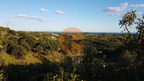 Negócio para Venda em Conceição e Cabanas de Tavira
