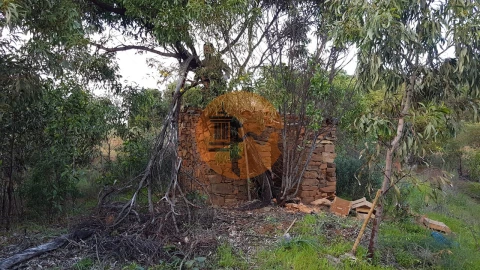 Negócio para Venda em Conceição e Cabanas de Tavira