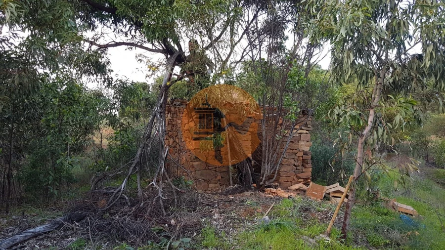 Negócio para Venda em Conceição e Cabanas de Tavira Foto 16