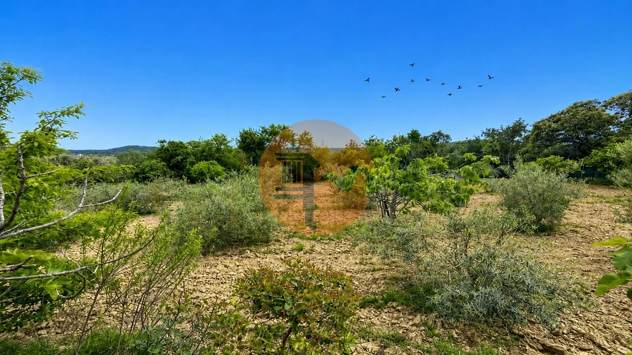 Quinta T5 para Venda em São Brás de Alportel Foto 23