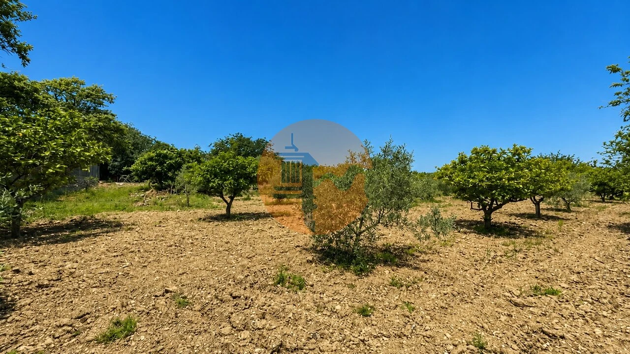 Quinta T5 para Venda em São Brás de Alportel Foto 24