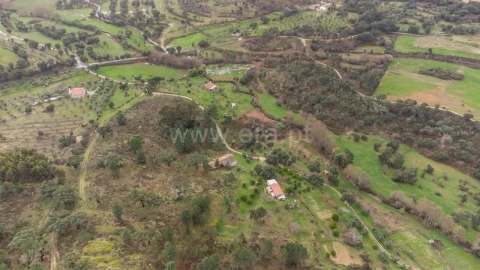 Quinta T1 para Venda em Vale de Prazeres e Mata da Rainha