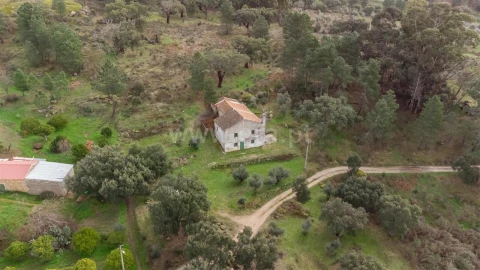 Quinta T1 para Venda em Vale de Prazeres e Mata da Rainha