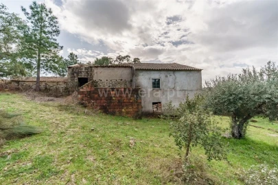 Quinta T1 para Venda em Vale de Prazeres e Mata da Rainha