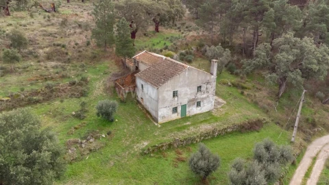 Quinta T1 para Venda em Vale de Prazeres e Mata da Rainha
