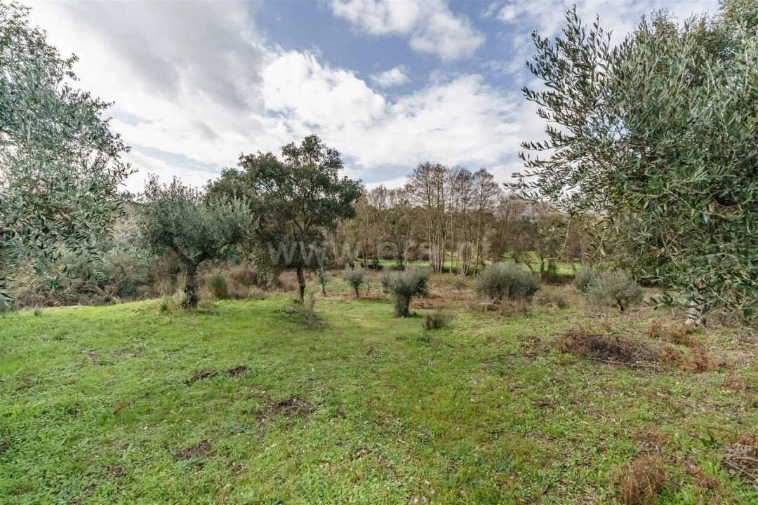 Quinta T1 para Venda em Vale de Prazeres e Mata da Rainha Foto 13