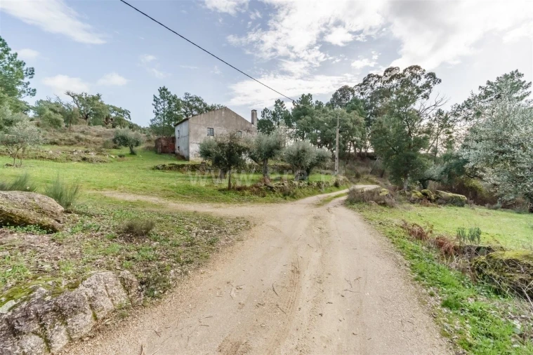 Quinta T1 para Venda em Vale de Prazeres e Mata da Rainha Foto 11