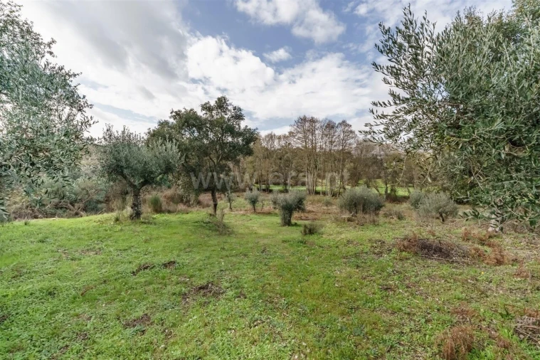 Quinta T1 para Venda em Vale de Prazeres e Mata da Rainha Foto 13