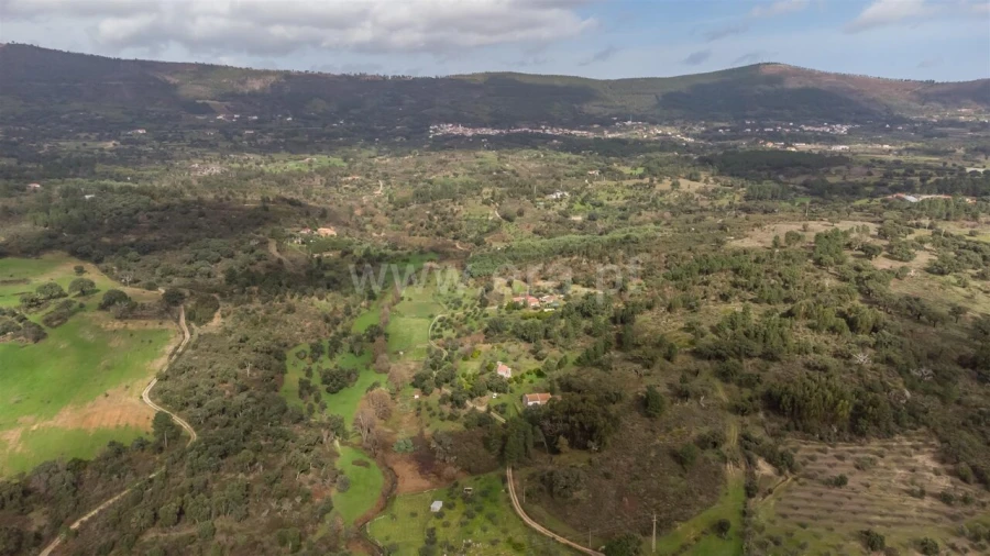 Quinta T1 para Venda em Vale de Prazeres e Mata da Rainha Foto 5