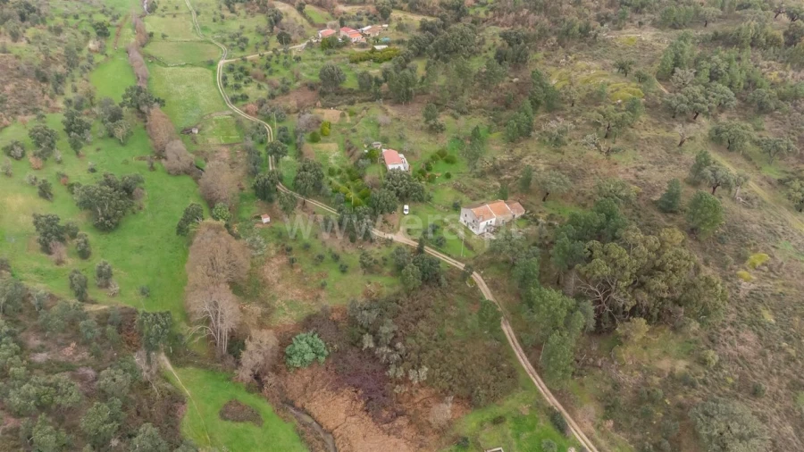 Quinta T1 para Venda em Vale de Prazeres e Mata da Rainha Foto 18