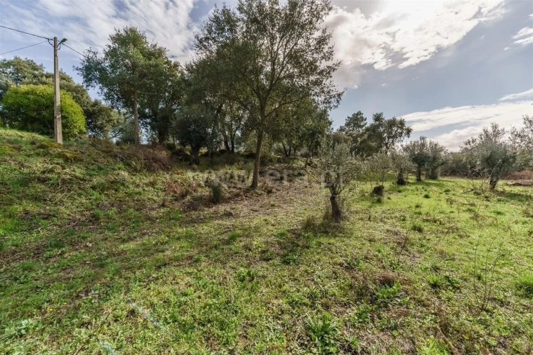 Quinta T1 para Venda em Vale de Prazeres e Mata da Rainha Foto 15