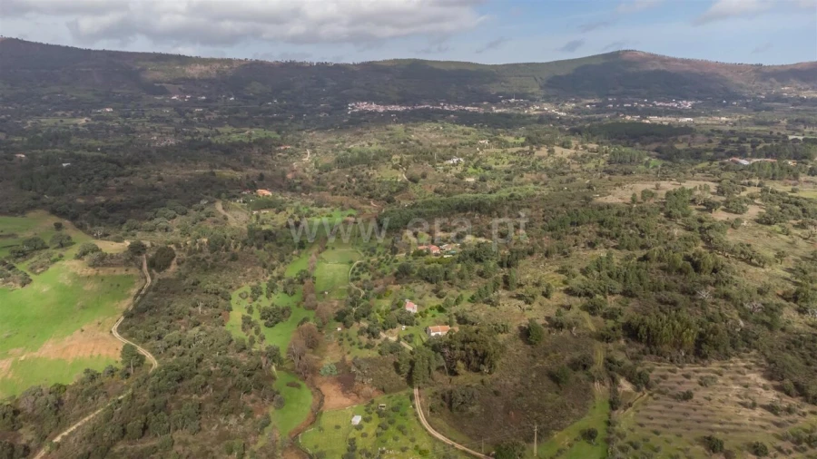 Quinta T1 para Venda em Vale de Prazeres e Mata da Rainha Foto 19