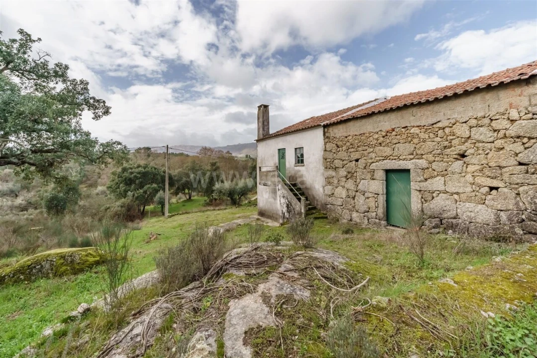 Quinta T1 para Venda em Vale de Prazeres e Mata da Rainha Foto 2