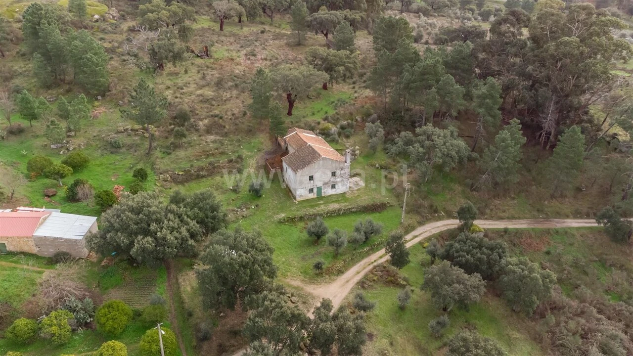 Quinta T1 para Venda em Vale de Prazeres e Mata da Rainha Foto 4