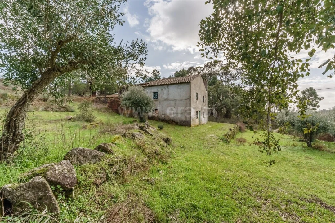 Quinta T1 para Venda em Vale de Prazeres e Mata da Rainha Foto 9