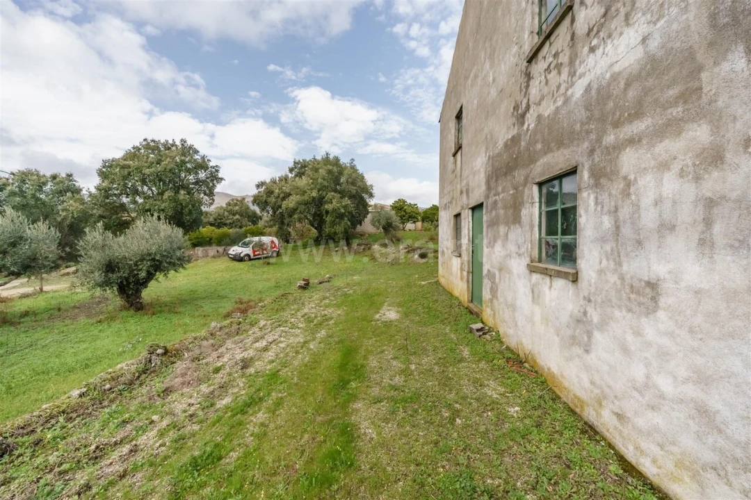 Quinta T1 para Venda em Vale de Prazeres e Mata da Rainha Foto 7