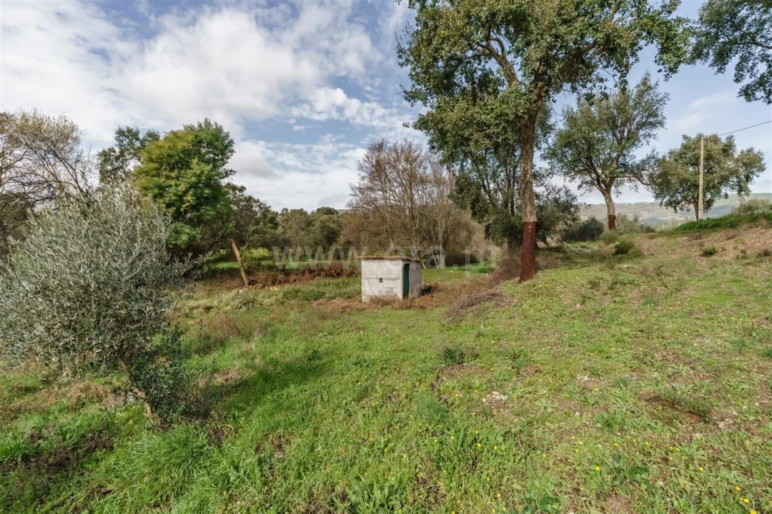 Quinta T1 para Venda em Vale de Prazeres e Mata da Rainha Foto 14