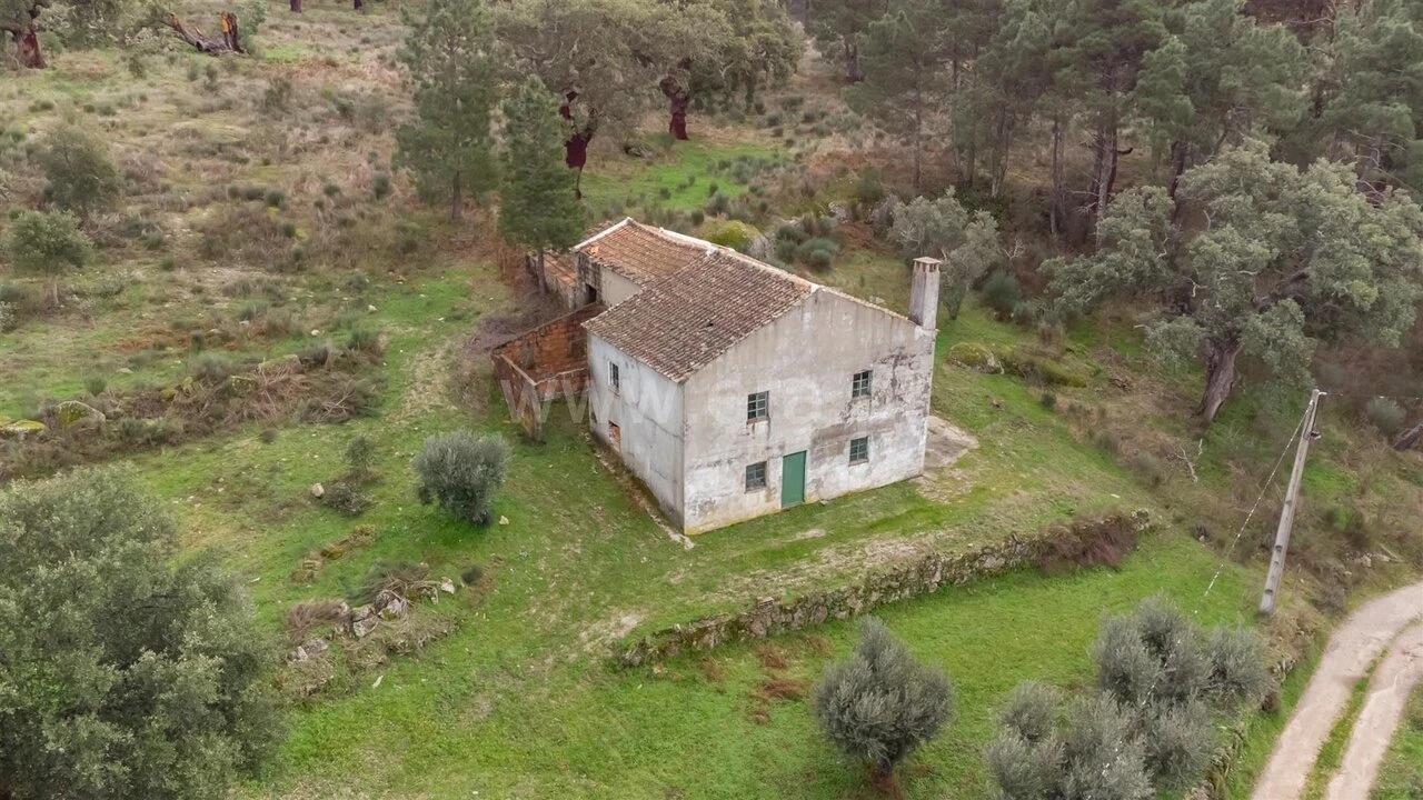 Quinta T1 para Venda em Vale de Prazeres e Mata da Rainha Foto 3