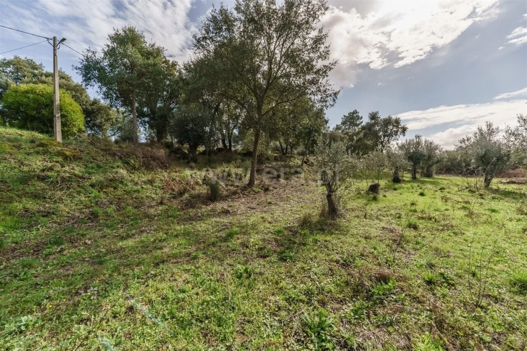 Quinta T1 para Venda em Vale de Prazeres e Mata da Rainha Foto 15