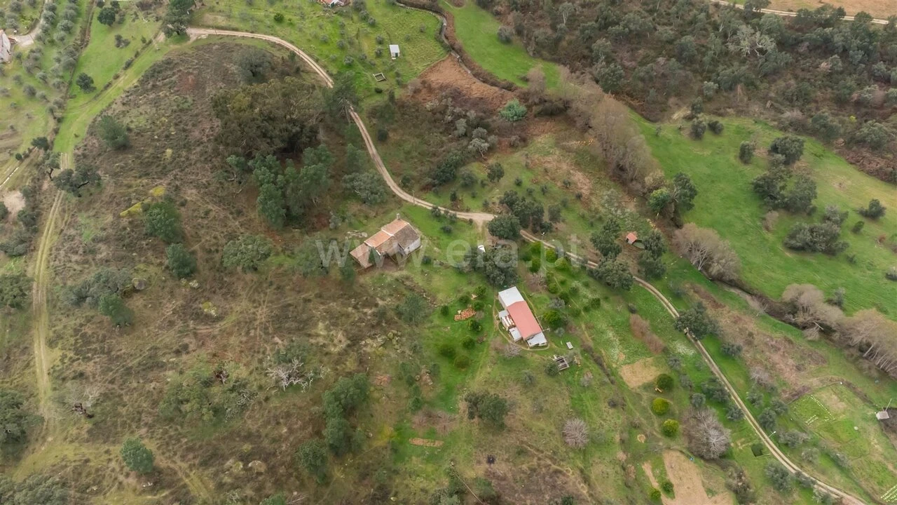 Quinta T1 para Venda em Vale de Prazeres e Mata da Rainha Foto 17