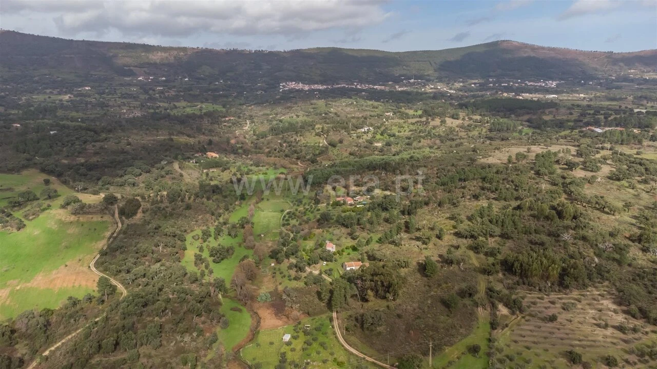 Quinta T1 para Venda em Vale de Prazeres e Mata da Rainha Foto 19