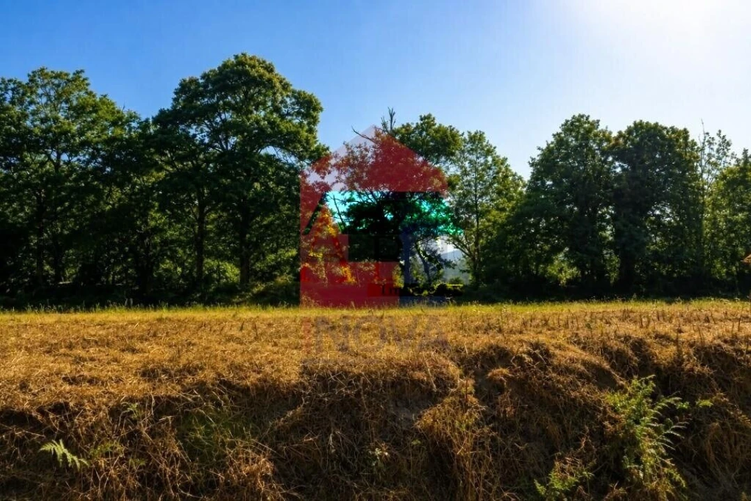 Terreno para Venda em Fiscal Foto 4