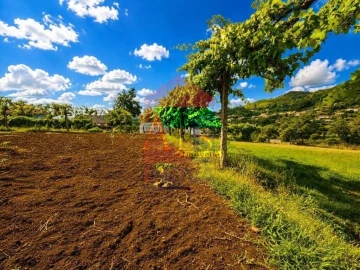 Terreno para Venda em Aboim da Nóbrega e Gondomar