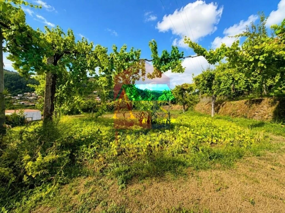 Terreno para Venda em Aboim da Nóbrega e Gondomar Foto 5