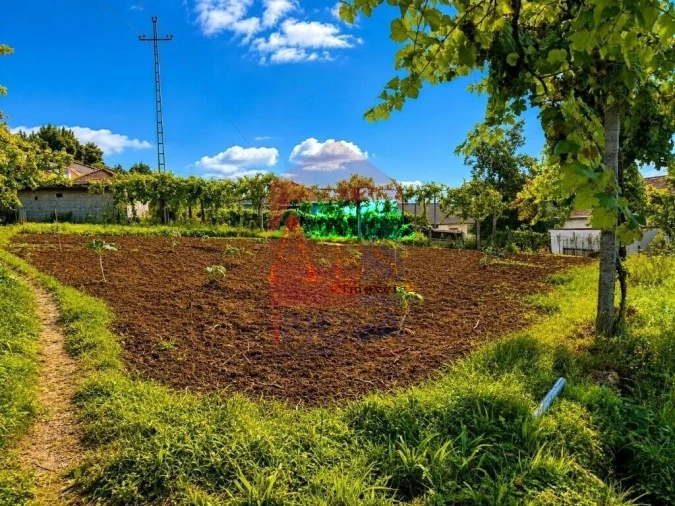 Terreno para Venda em Aboim da Nóbrega e Gondomar Foto 9
